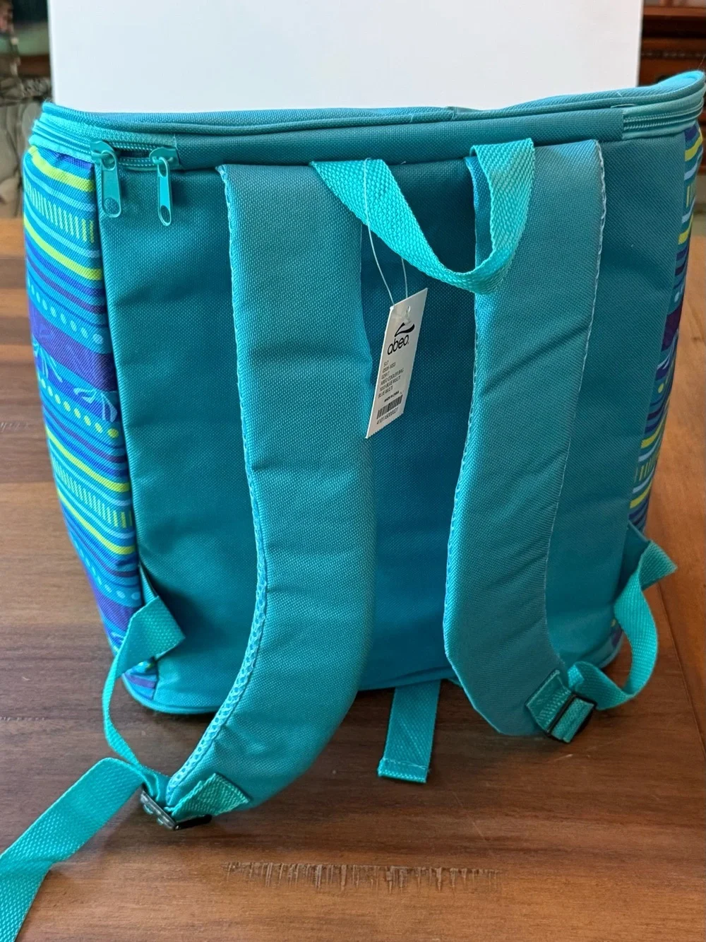 Cooler Backpack with Blue & Green Stripes with teal accents